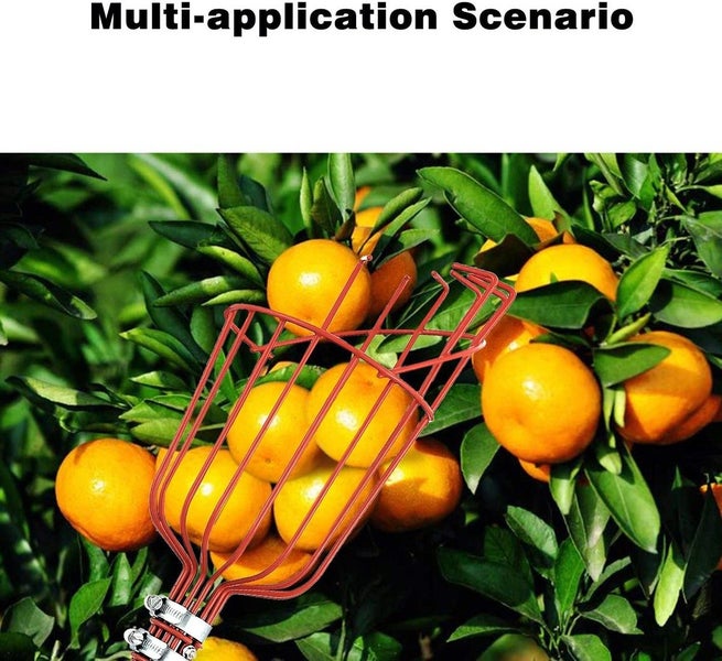 Fruit Picker Tool Carousel 9