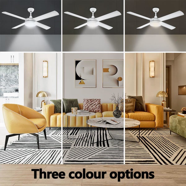 Ceiling Fan Carousel 2