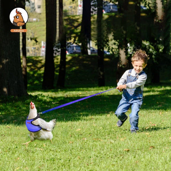 Chicken Harness with Leash,Upgraded Double Adjustment Chicken Harness and Leash Carousel 12