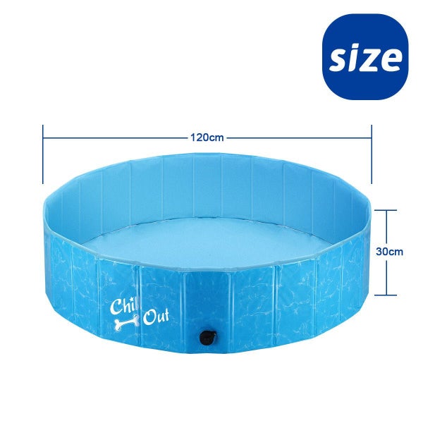 Dog Swimming Pool Carousel 1