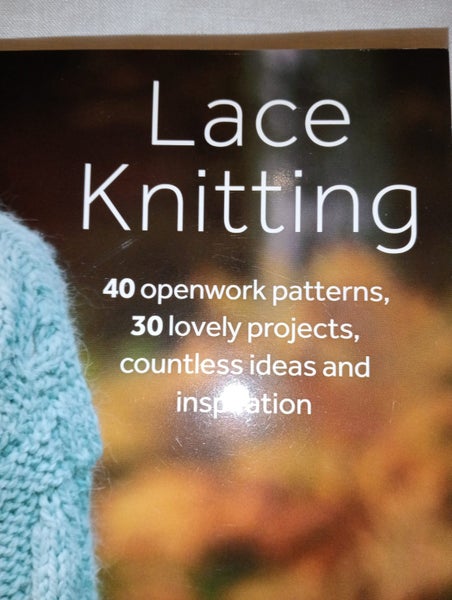 *Lace Knitting* by Denise Samson. Beautiful knitting pattern book. Carousel 2