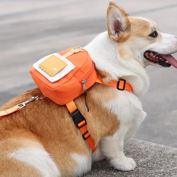 Adjustable Harness Large-capacity Portable Pet Snack Self Backpack Carrier Carousel 17