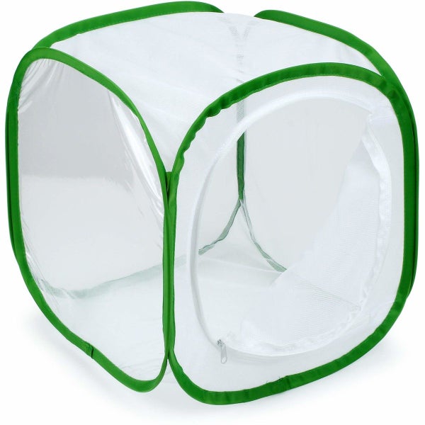 Insect and Butterfly Habitat Cage Terrarium Pop-up (Green,12 X 12 X 12 Inches) Carousel 2