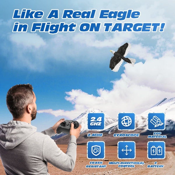 RC Plane, Remote Control Eagle Plane,RTF Airplane,2.4GHZ 2CH Flying Bird with 2 Carousel 16