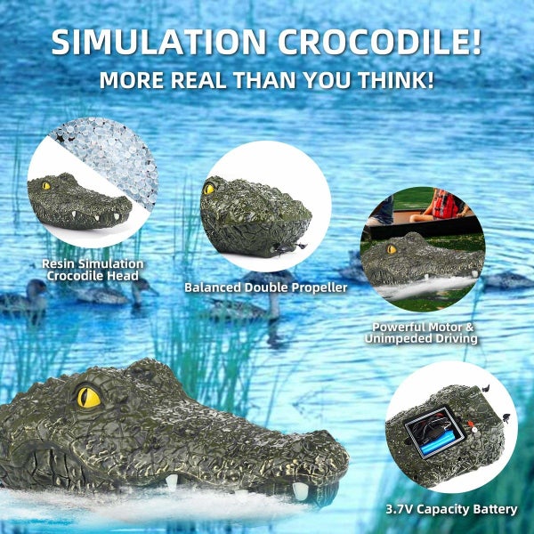 Remote Control Boat Carousel 2