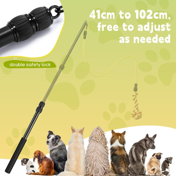 Interactive Flirt Toy Pole Dog Cat Play Wand Retractable Agility Training Stick Carousel 2