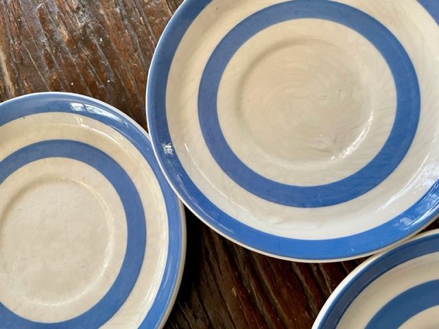 6 x T G Green Blue & White Saucers Carousel 4