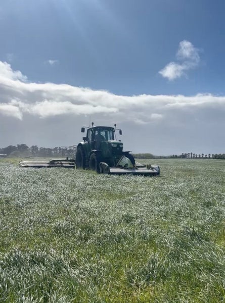 Silage Bales62863847380993112