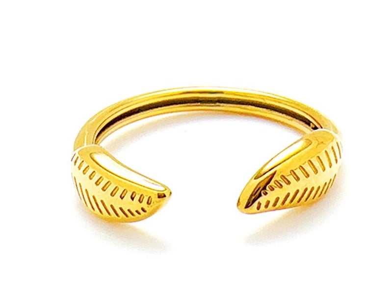 Open Design Gold-Plated Titanium Band Carousel 1