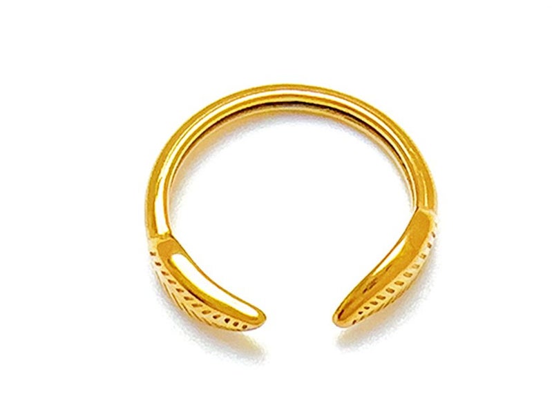 Open Design Gold-Plated Titanium Band Carousel 3