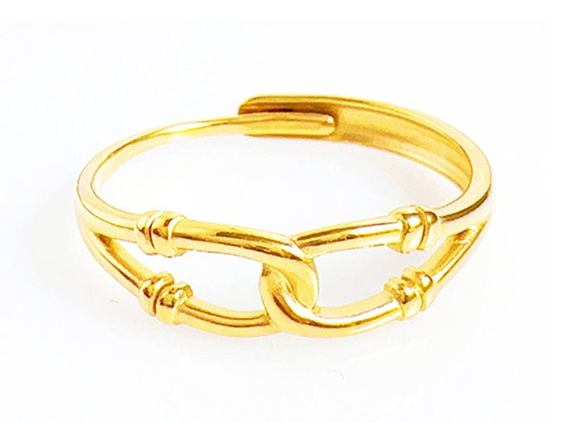 Open Design Gold-Plated Titanium Band Carousel 1
