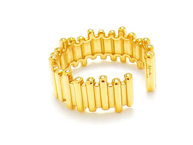 Open Design Gold-Plated Titanium Band Carousel 2