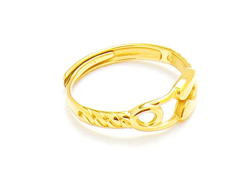 Open Design Gold-Plated Titanium Band Carousel 2