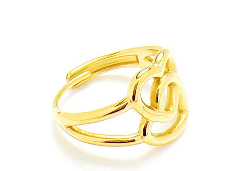 Open Design Gold-Plated Titanium Band Carousel 2
