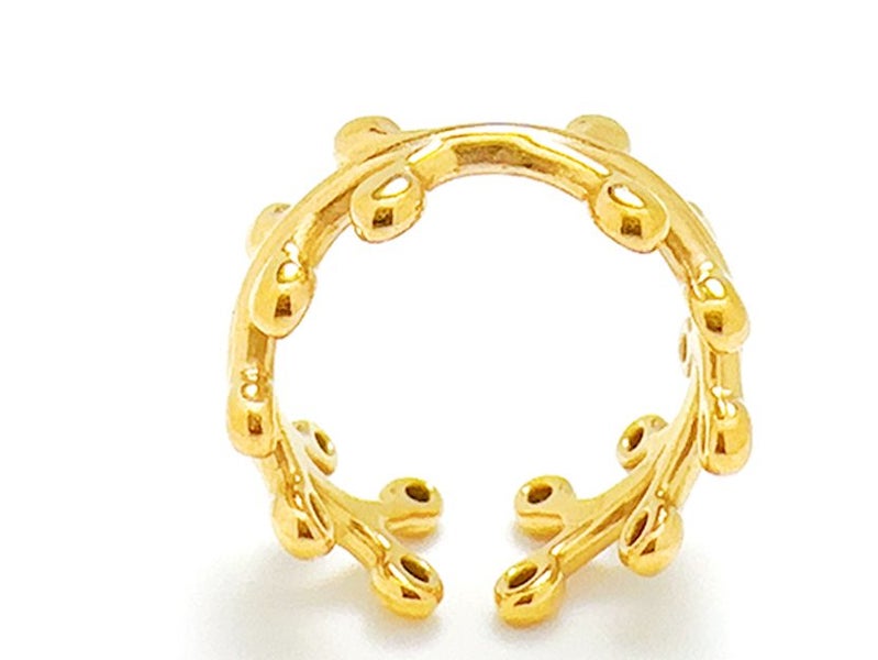 Open Design Gold-Plated Titanium Band Carousel 3