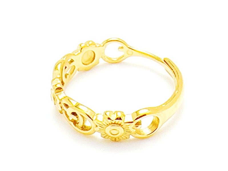Open Design Gold-Plated Titanium Band Carousel 2