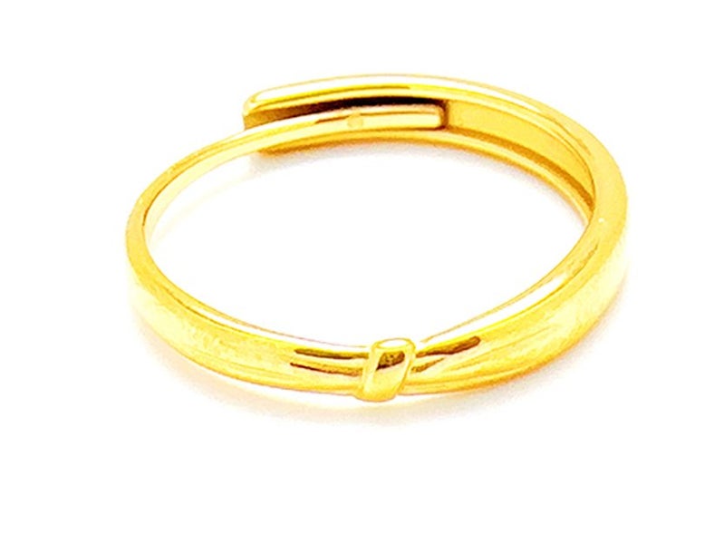 Open Design Gold-Plated Titanium Band Carousel 1