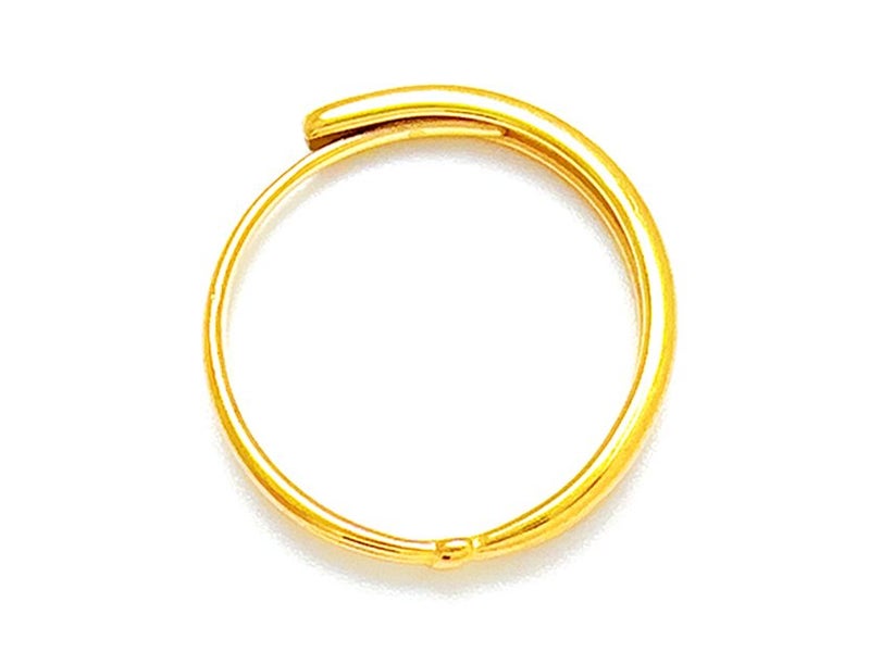 Open Design Gold-Plated Titanium Band Carousel 2