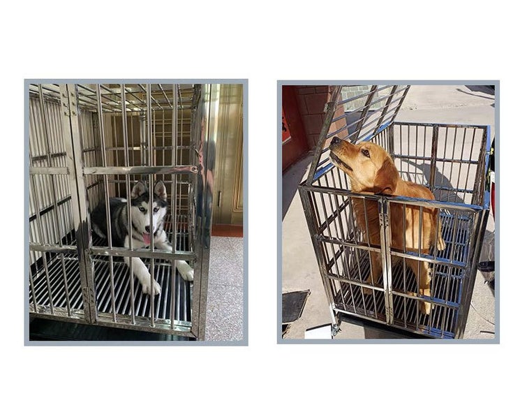 Collapsible Stainless Steel Pet Cage 125CM with Wheels FREE DELIVERY Wellington63617470466563111