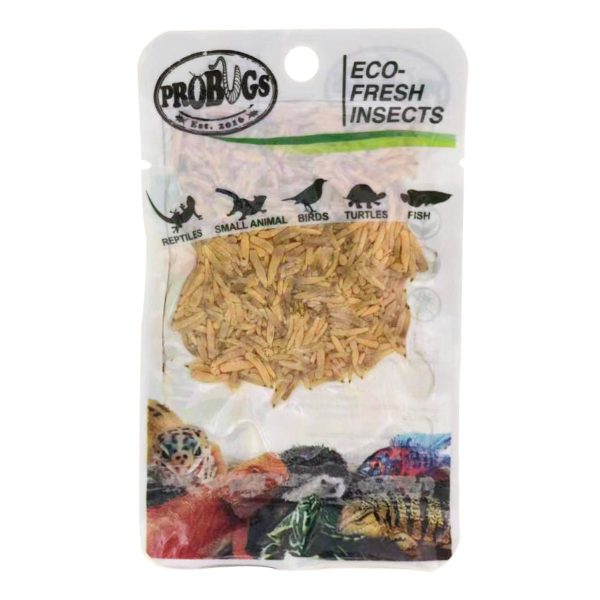 Pro Bugs Riceworms Carousel 1