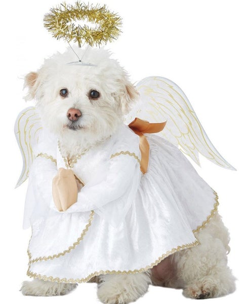 Heavenly Hound Pet Christmas Costume Carousel 1