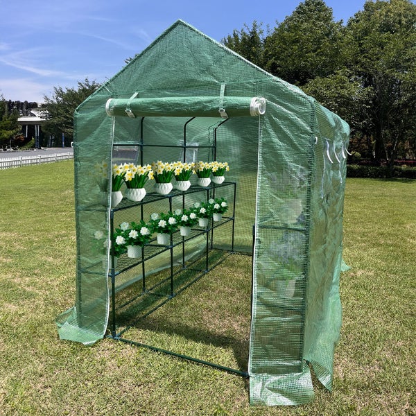 Greenhouse Carousel 2