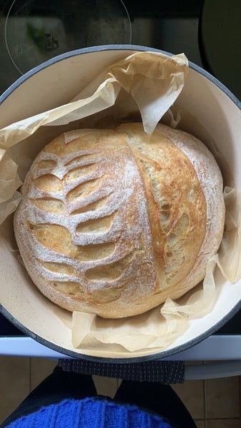 Organic Sourdough Starter Carousel 1