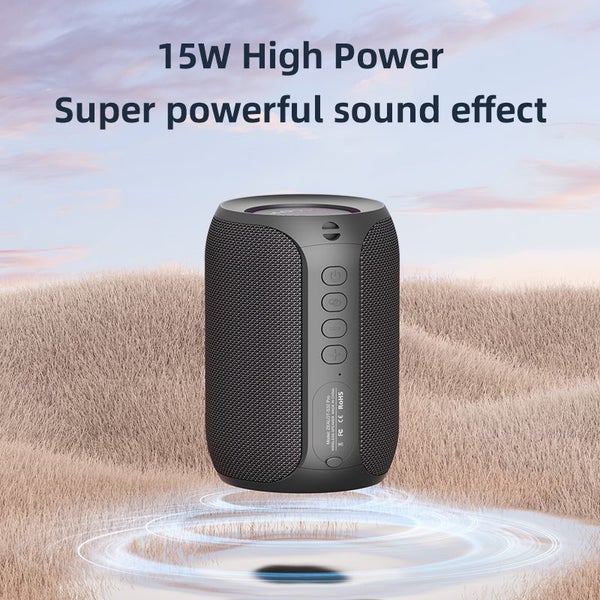 Speaker With Microphone, Carousel 2