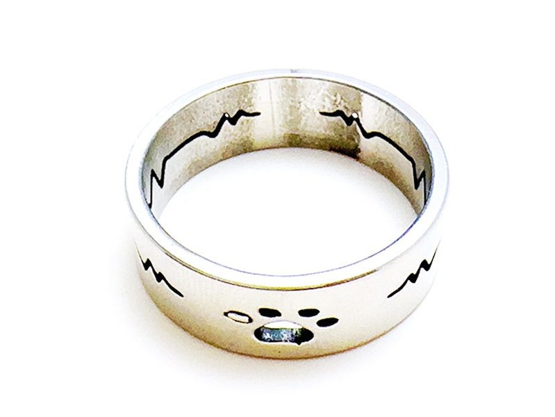 Hollow Stainless Steel Ring Carousel 5