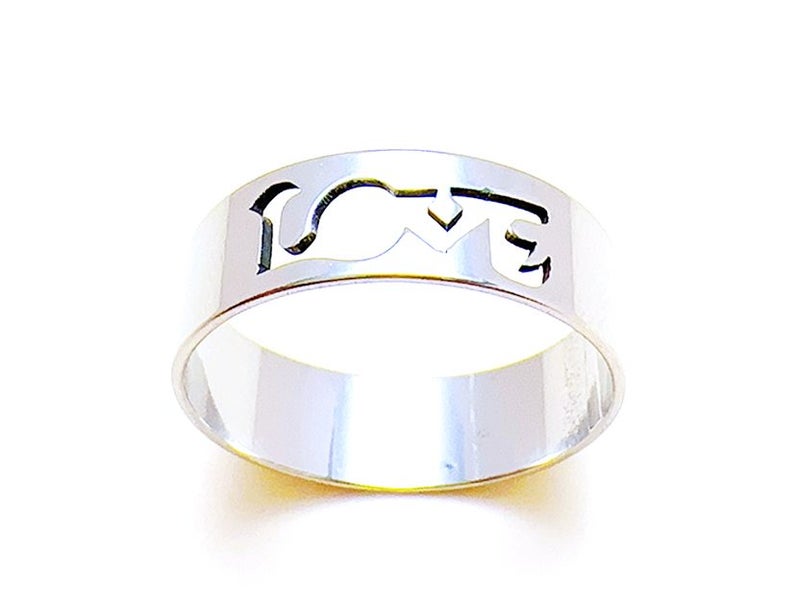 Hollow Stainless Steel Ring Carousel 1