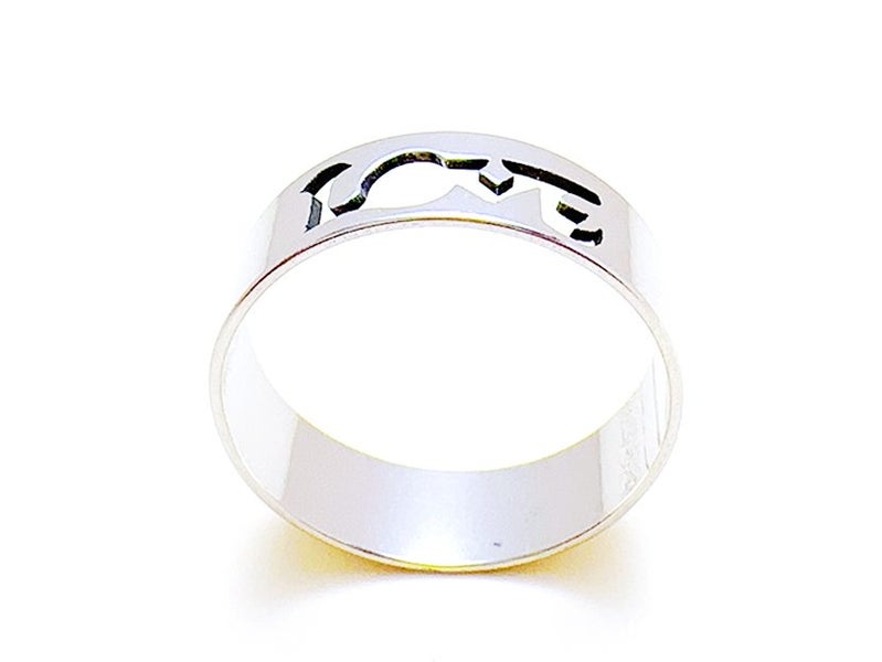 Hollow Stainless Steel Ring Carousel 2