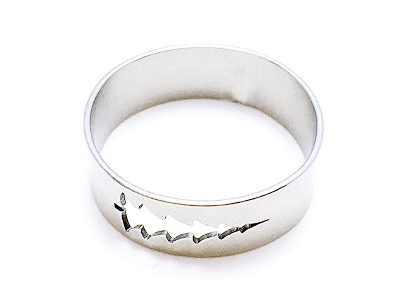 Hollow Stainless Steel Ring Carousel 3
