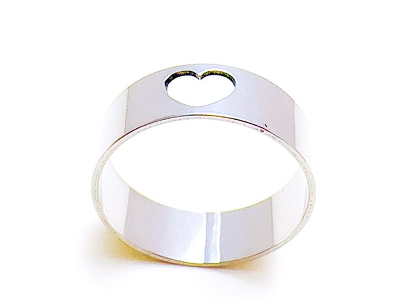 Hollow Stainless Steel Ring Carousel 2