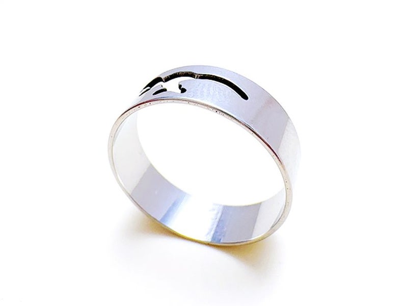 Hollow Stainless Steel Ring Carousel 1