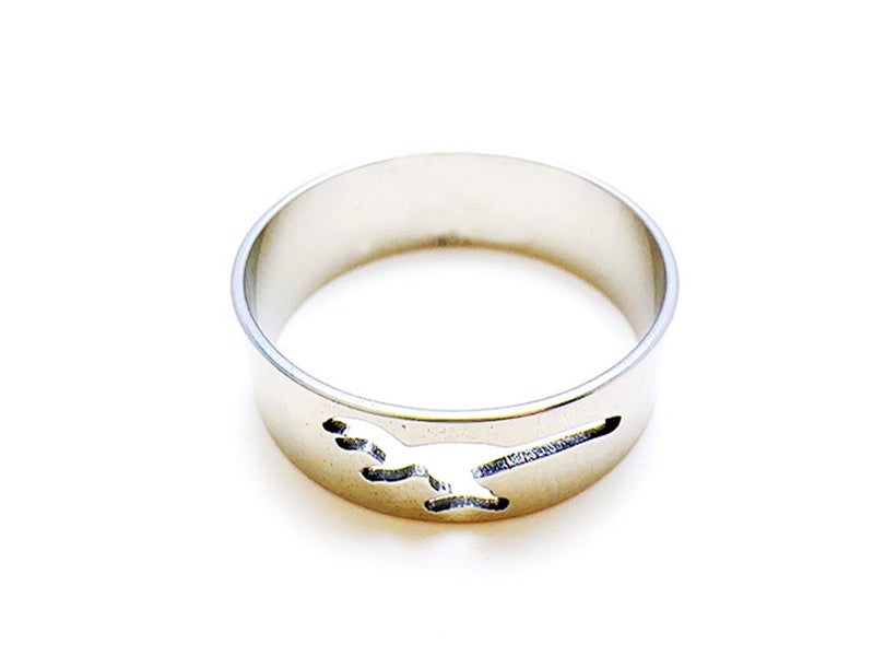 Hollow Stainless Steel Ring Carousel 2