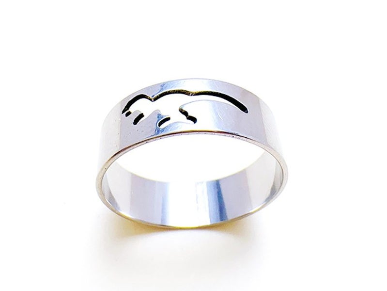 Hollow Stainless Steel Ring Carousel 3