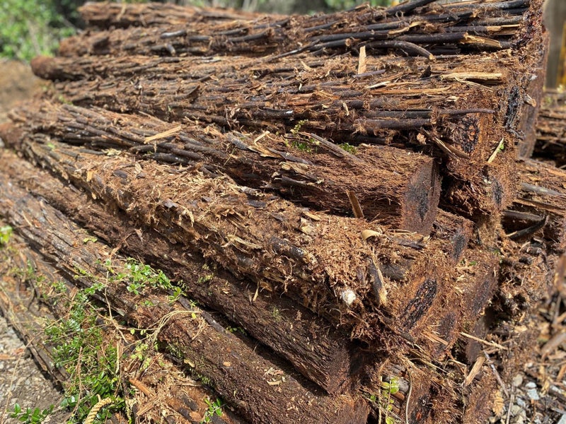 Ponga Logs Carousel 1