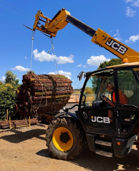 Ponga Logs Carousel 2