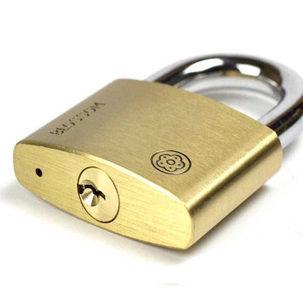 60mm Brass Padlock Carousel 2