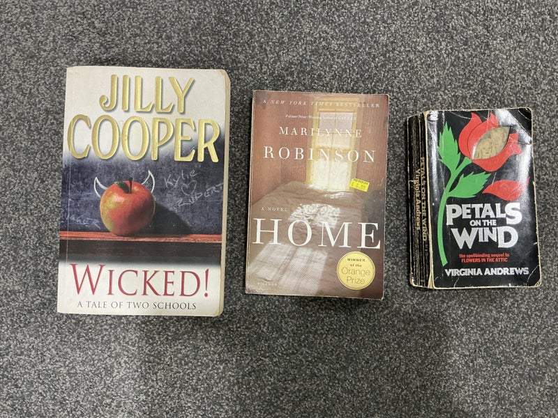 Novels Carousel 1