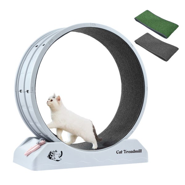 Cat Running Wheel Carousel 16