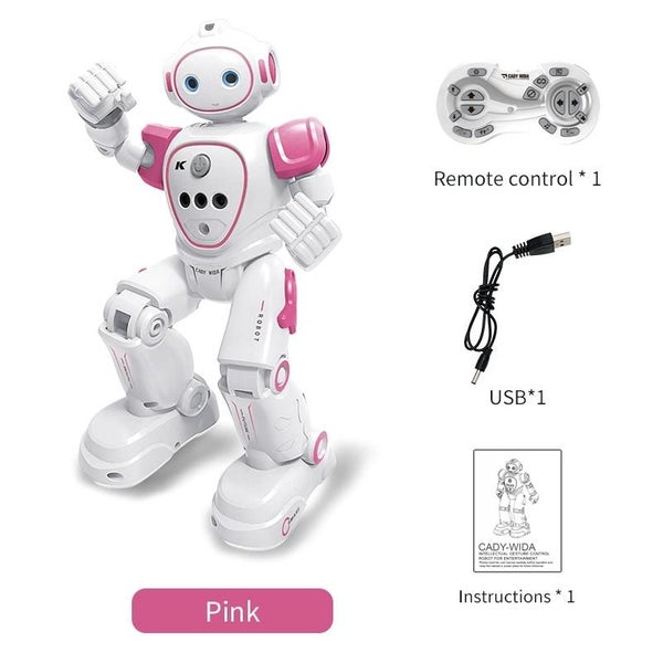 R21 Intelligent Programmed Remote Control Electric Robot Carousel 2
