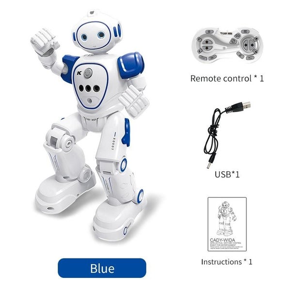R21 Intelligent Programmed Remote Control Electric Robot Carousel 12