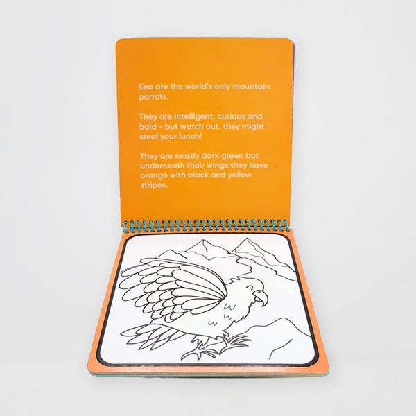 Kiwiana Magic Colouring Pad Carousel 2