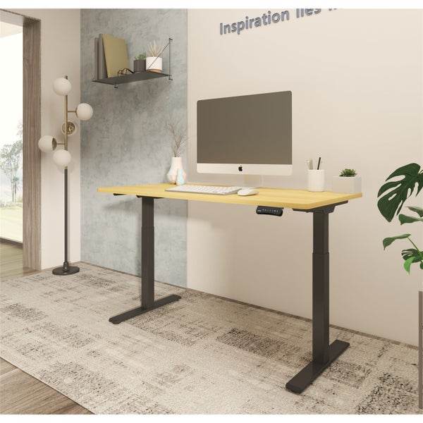Loctek Ergonomic Pro Office - 1600x800mm - Dual Motor Standing Desk - 2 Stage Carousel 2