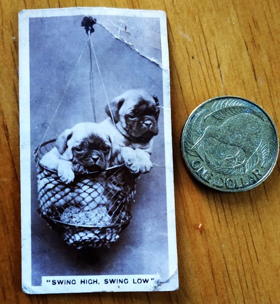 "De Reszke" Real Photographs 3rd Series No. 27/27 "Swing High, Swing Low" Carousel 5