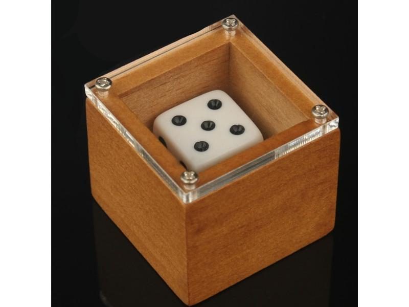 Magic Dice Magic Props Dice Trick Dot Number Change Dice Magic Stage Illusion Carousel 1