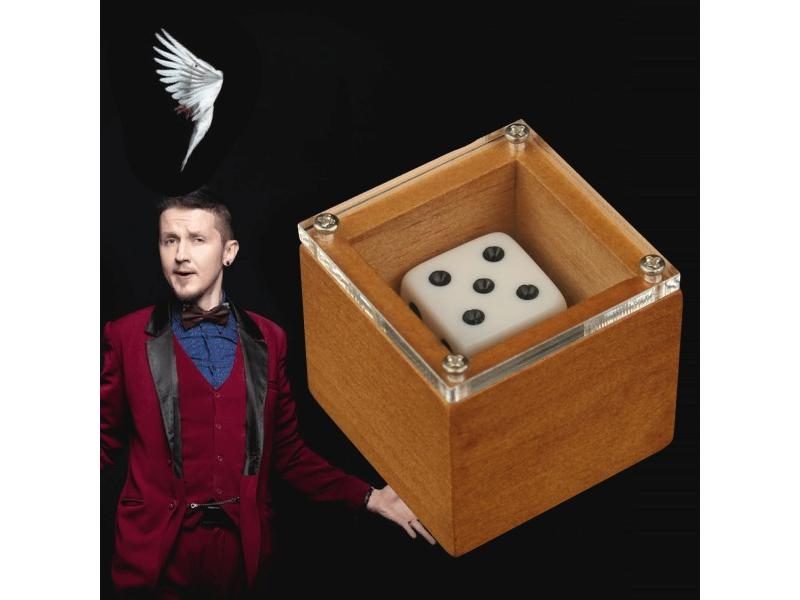 Magic Dice Trick Dot Number Change Magic Stage Illusion Props Carousel 1