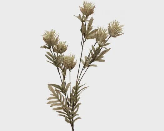 STONELEIGH & ROBERSON MILK THISTLE STEM Carousel 1