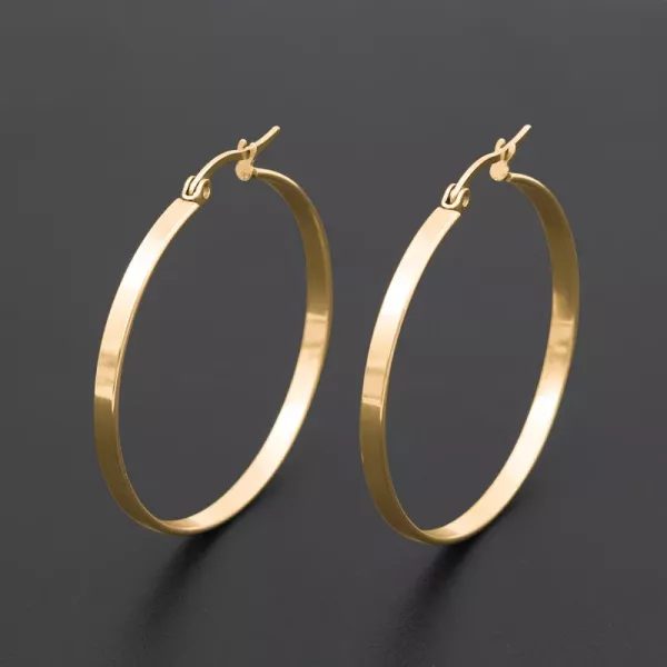 Stainless Steel Hoop Earrings For Women Big Round Circle Hoop Earring Pop Carousel 2